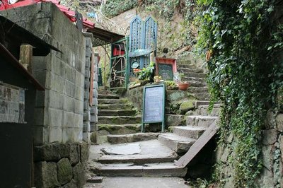 🐈 고양이 골목(네코노호소미치)